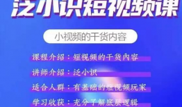 短视频直播电商课程,揭秘新零售时代的流量密码与转化攻略